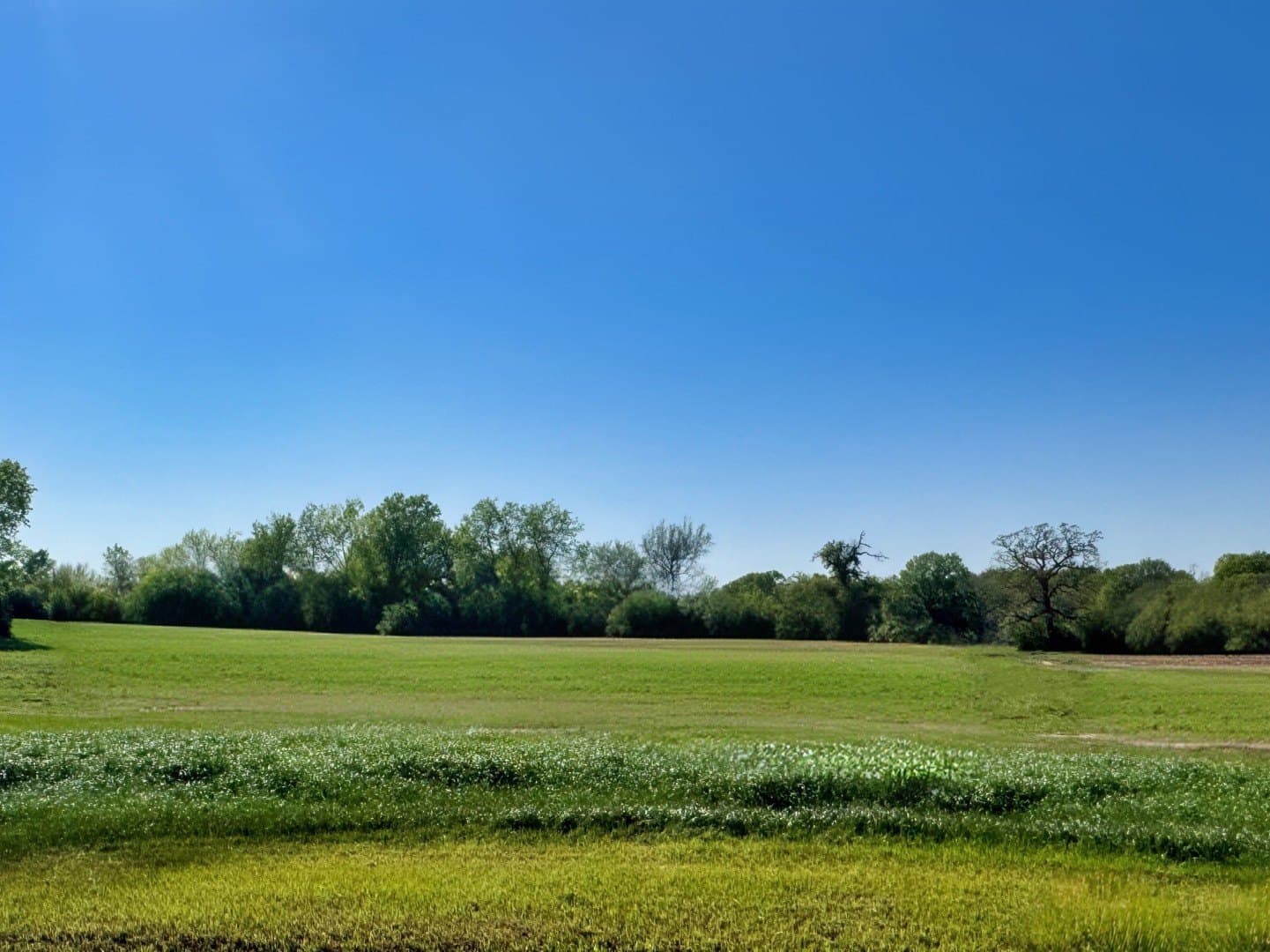 1.02 acres in Grimes County
