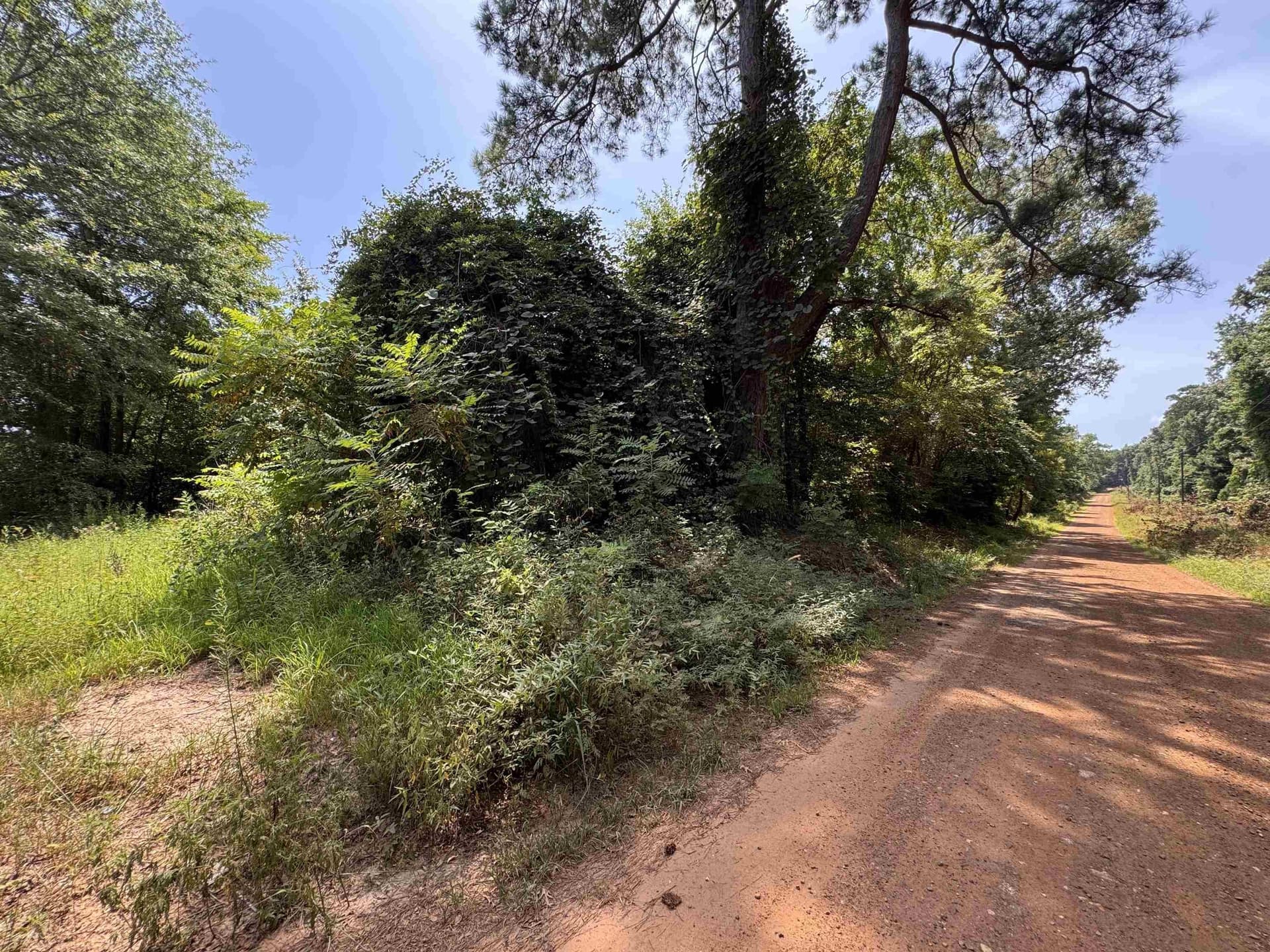 15.99 acres in Texas County