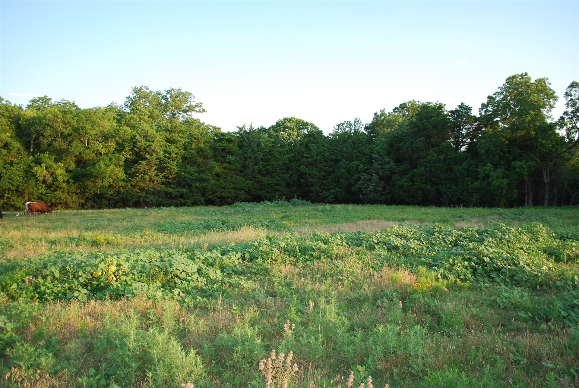 1.94 acres in Rockwall County