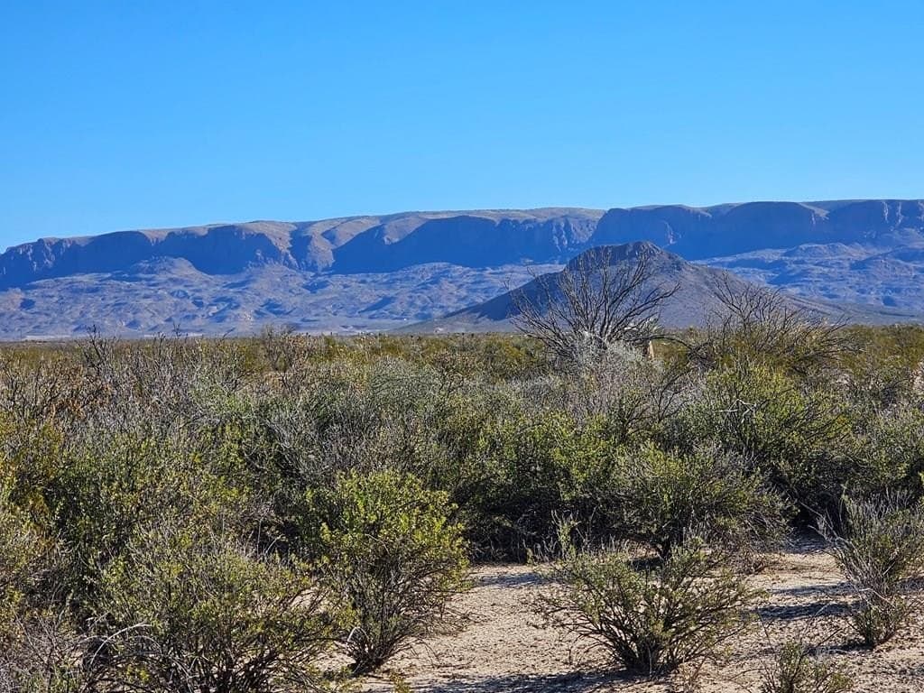 20 acres in Brewster County