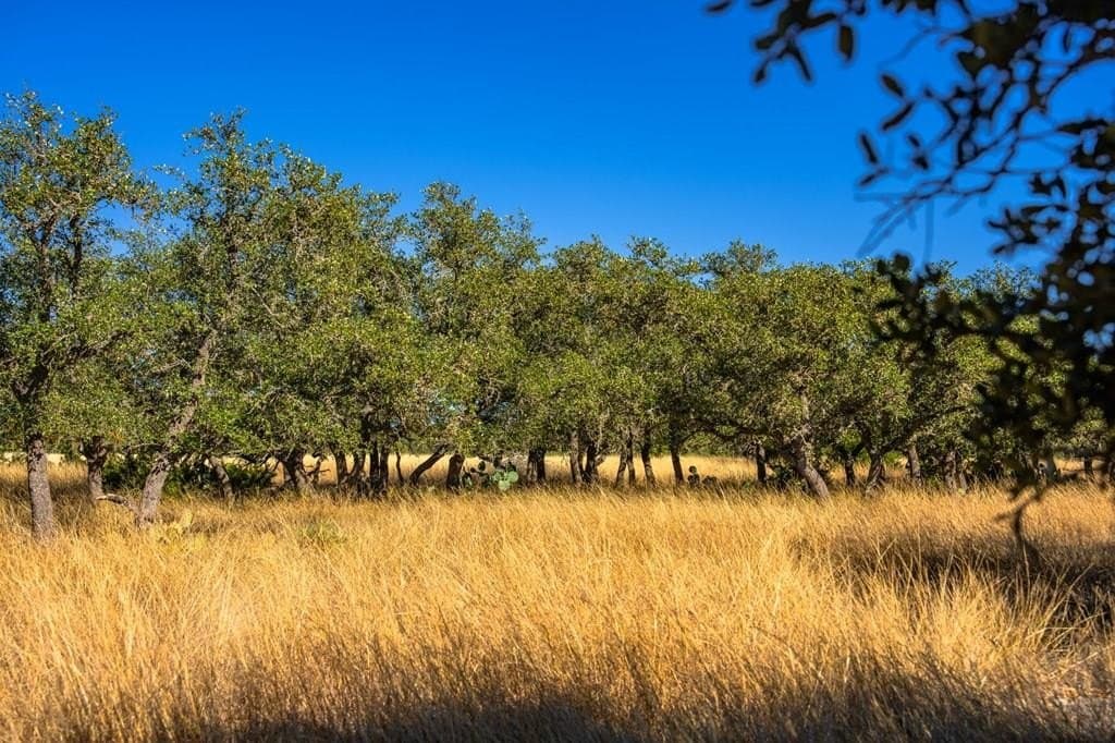 16.21 acres in Kimble County