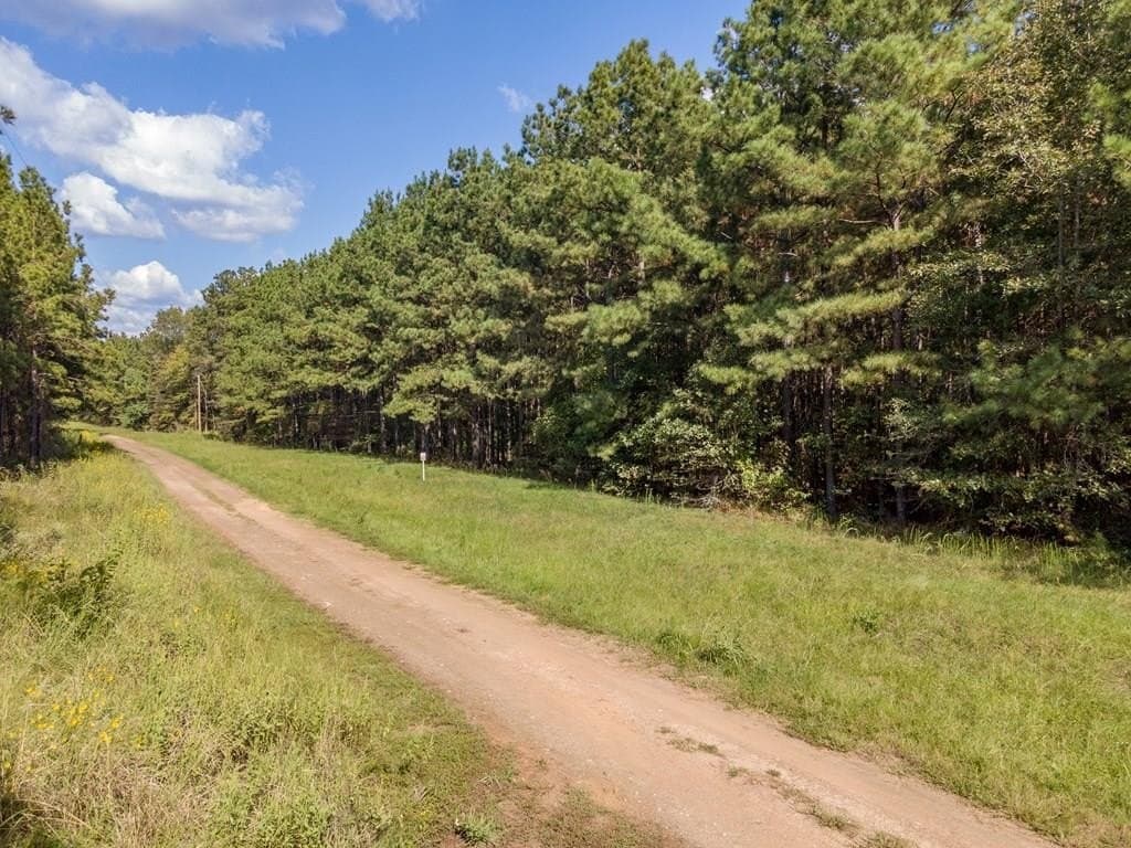 25 acres in Texas County