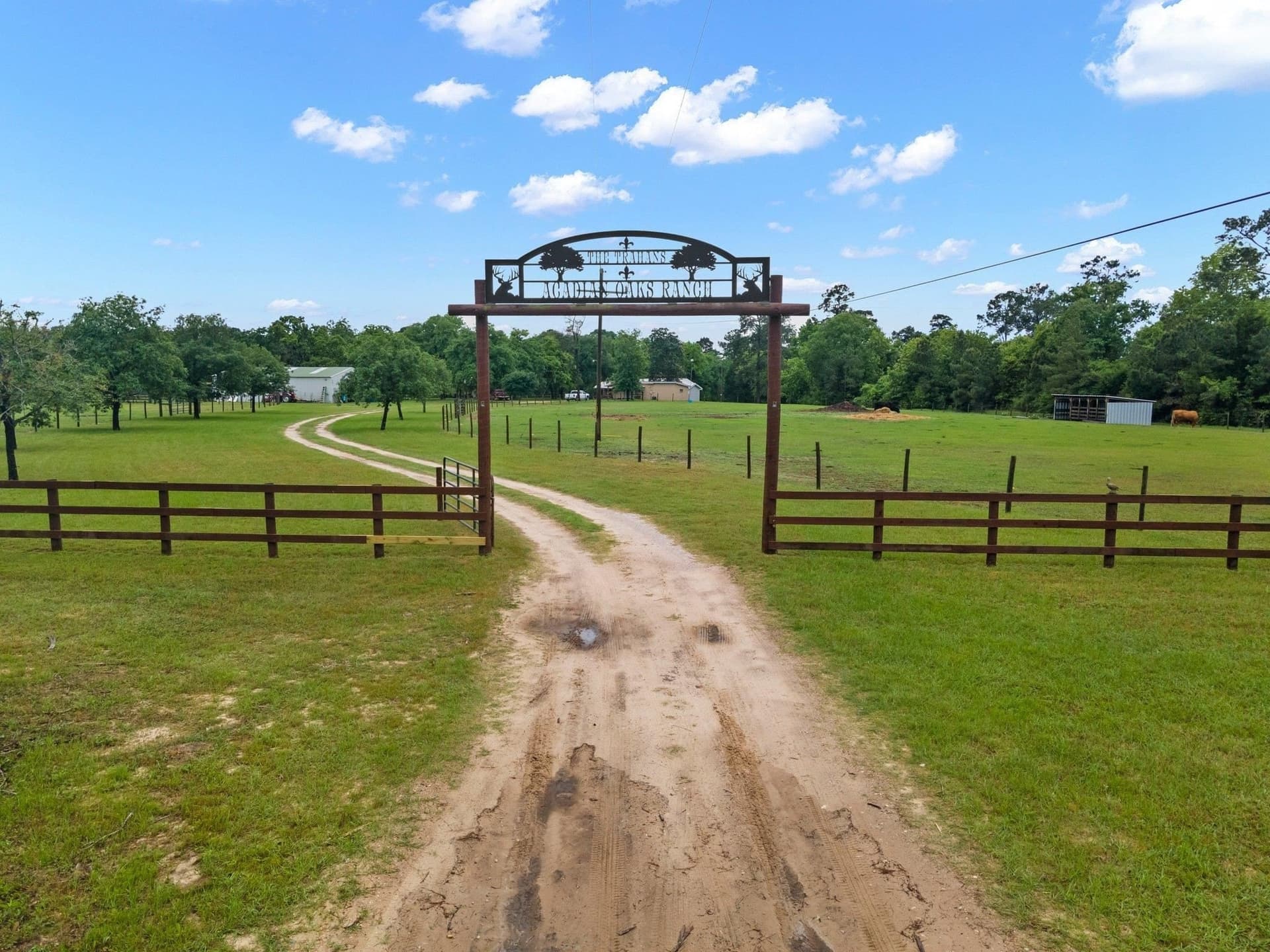 113.56 acres in Texas County