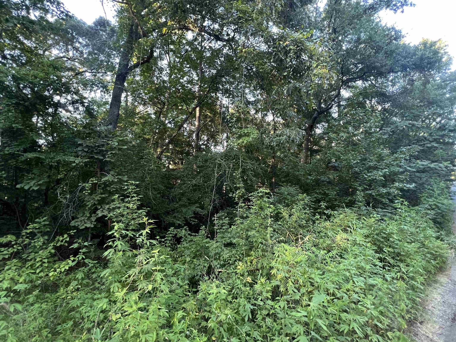 0 acres in Upshur County