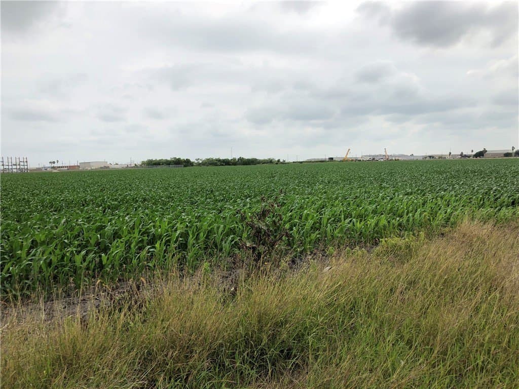 15.07 acres in Nueces County