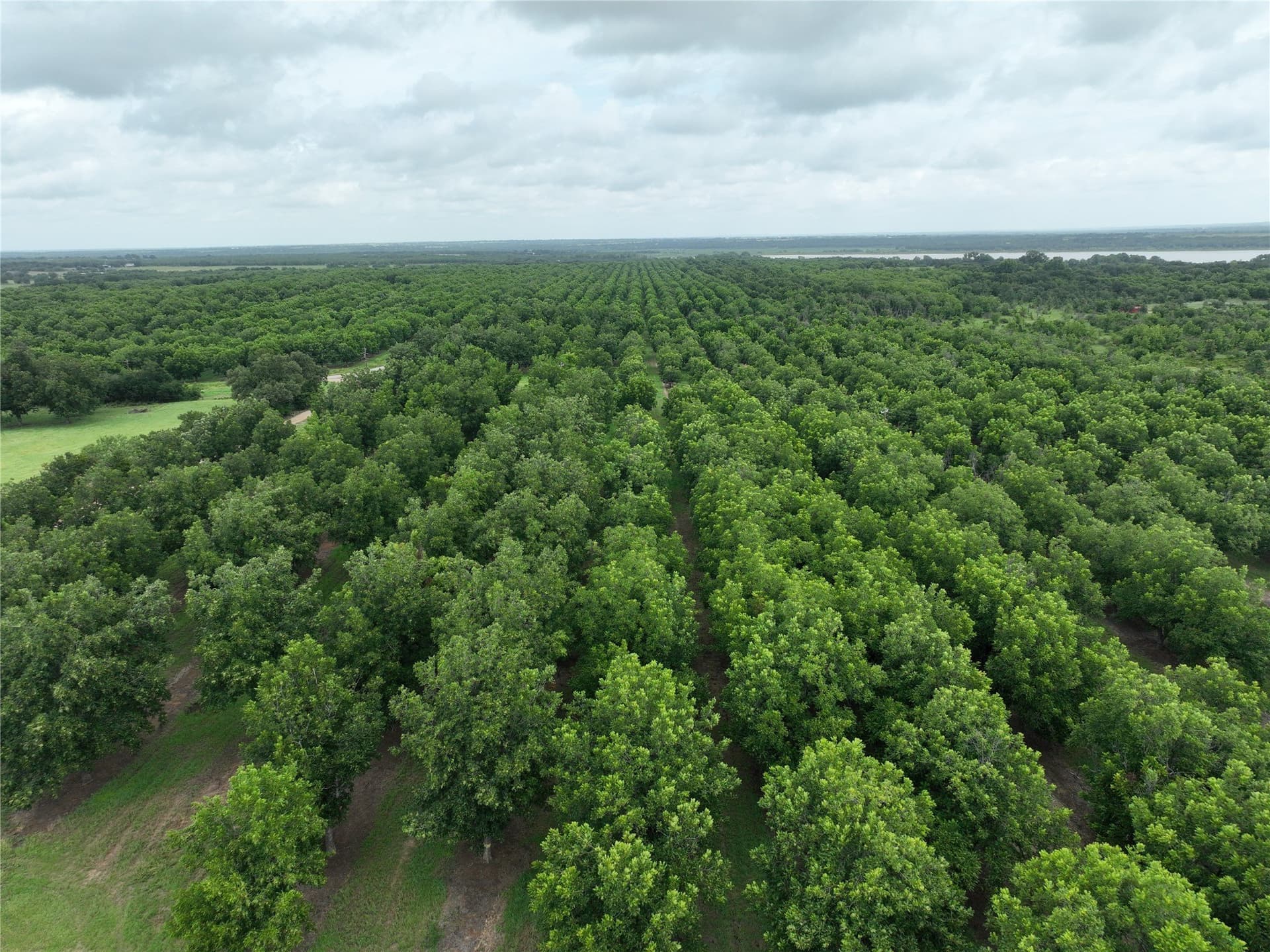 73.82 acres in Comanche County