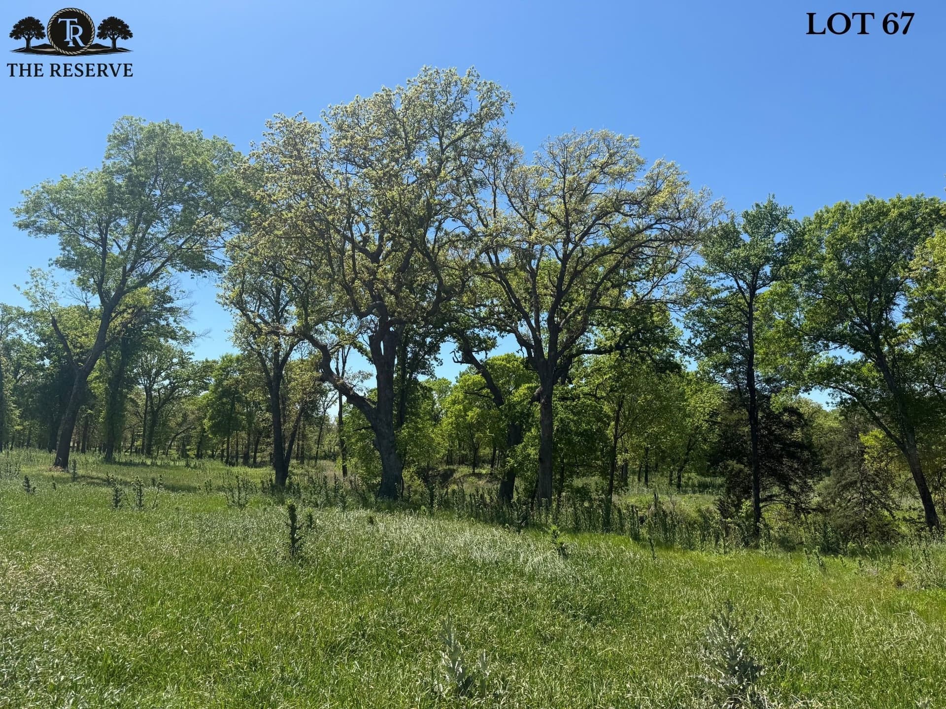 1.78 acres in Parker County