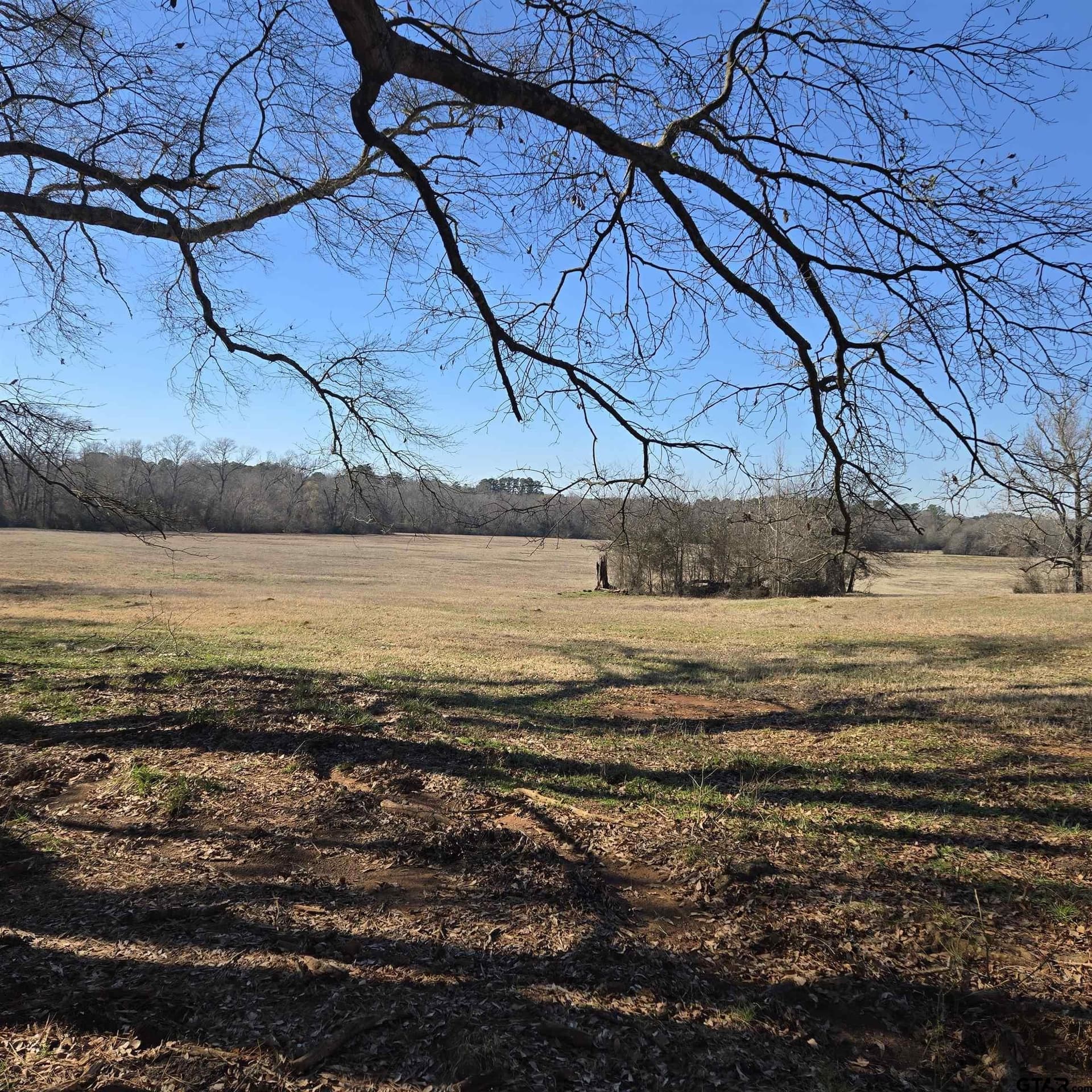 50 acres in Smith County