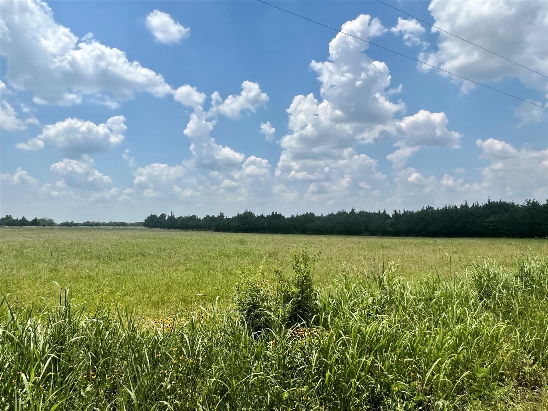 26.03 acres in Lamar County