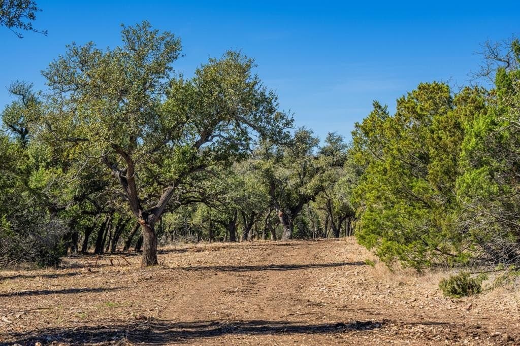 33.3 acres in Gillespie County