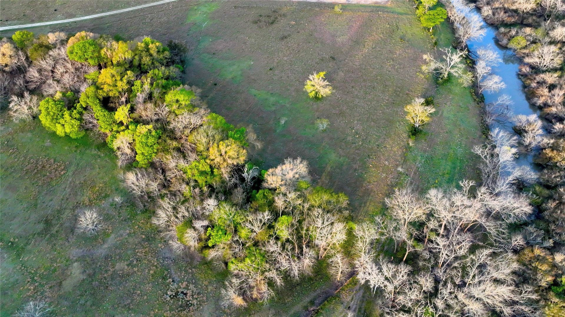 10 acres in Leon County