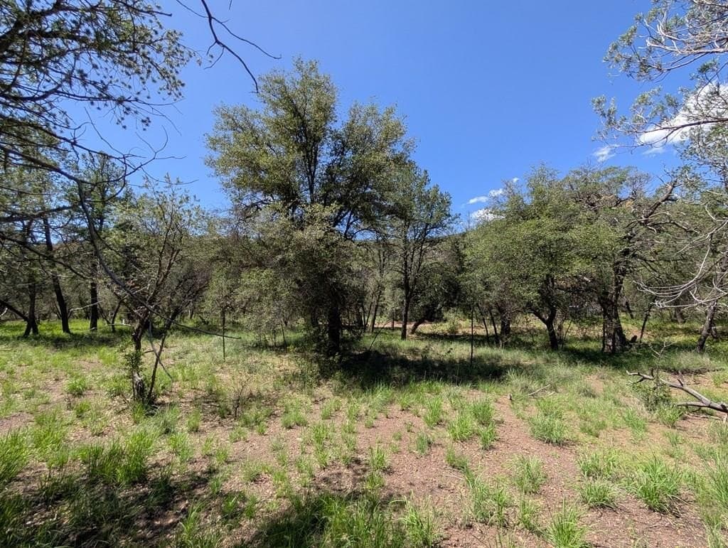 5.2 acres in Jeff Davis County
