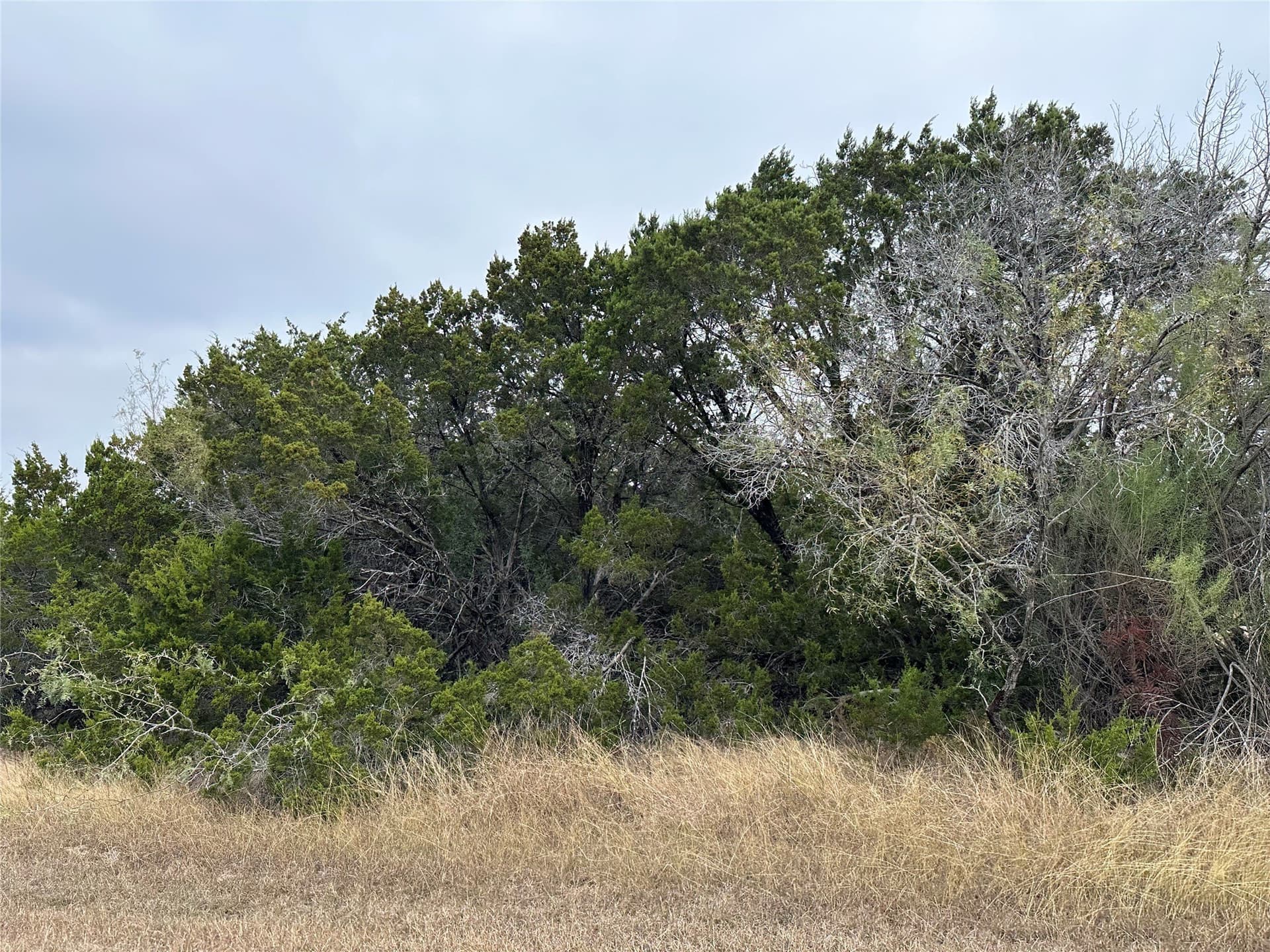 0.56 acres in Hill County