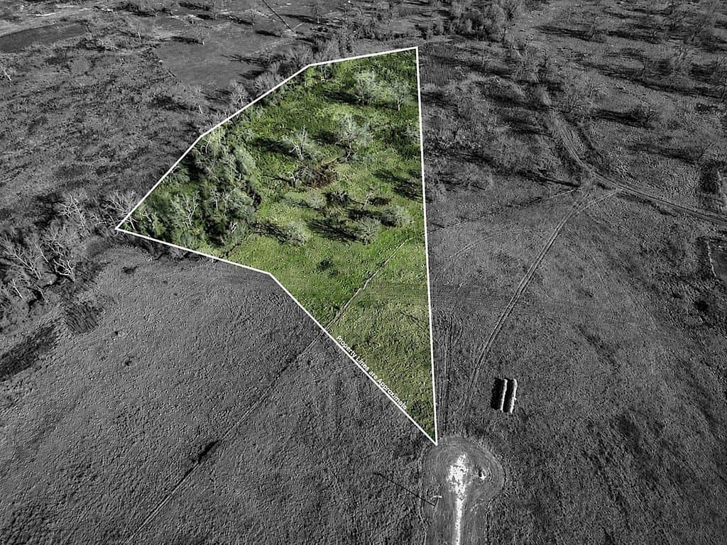 10 acres in Limestone County