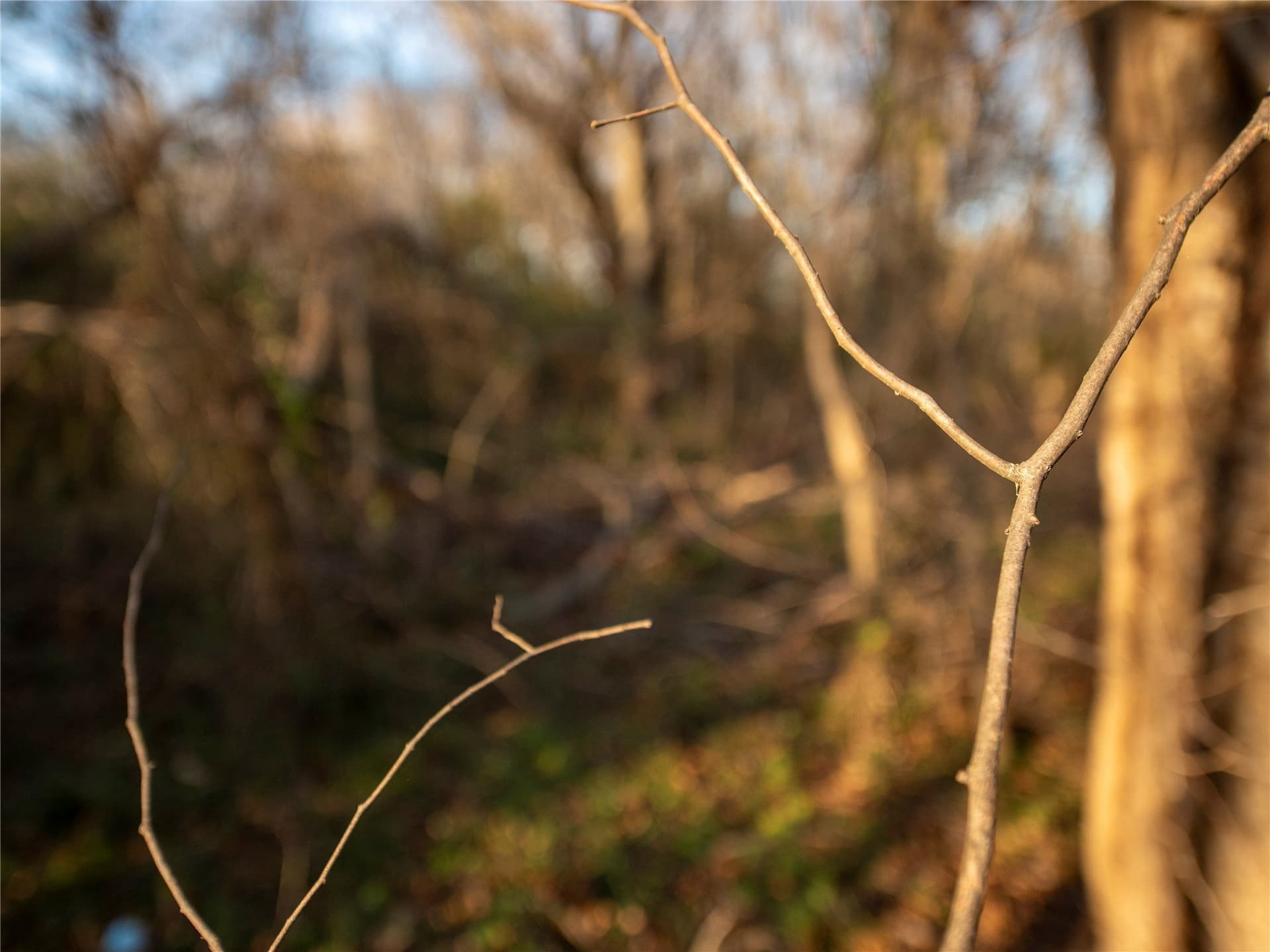 5.74 acres in Dallas County