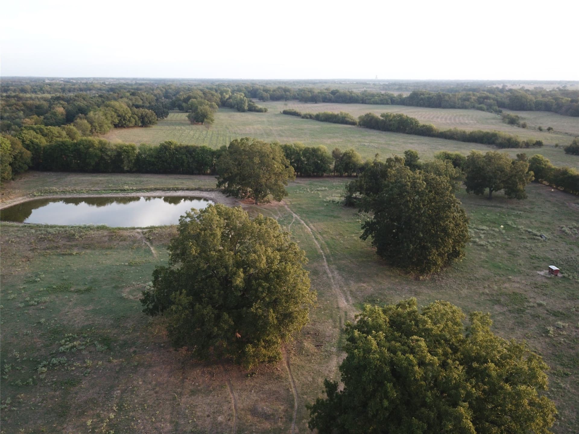 1,003.31 acres in Limestone County