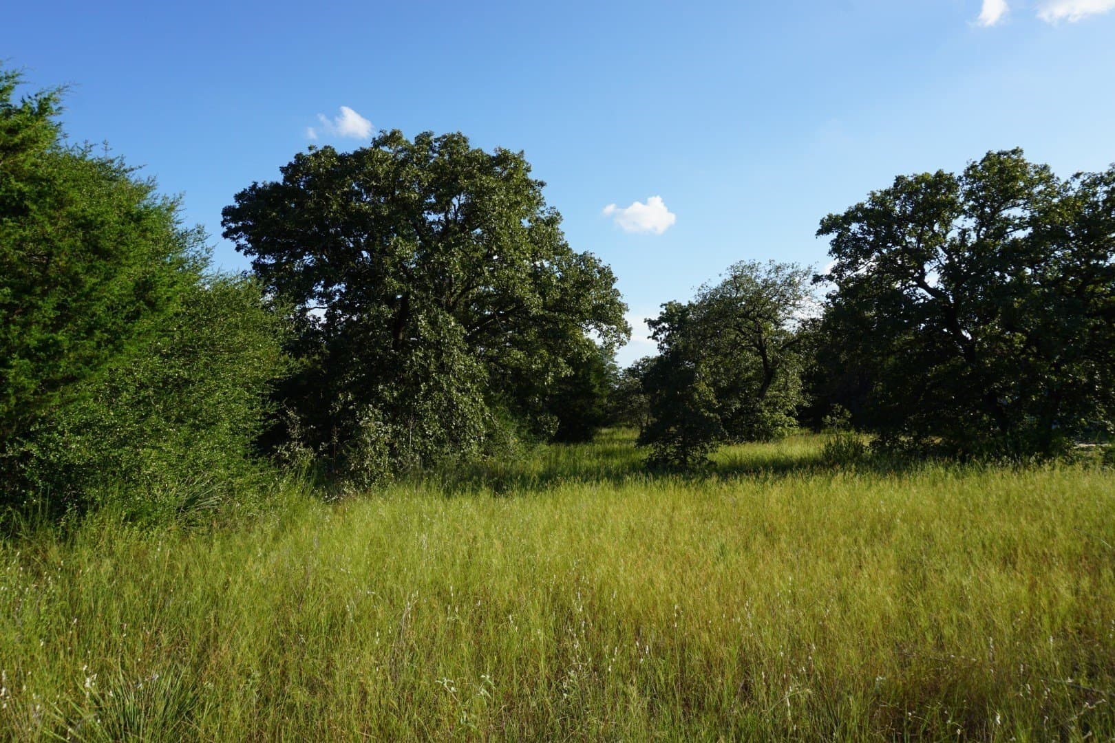 3 acres in Henderson County