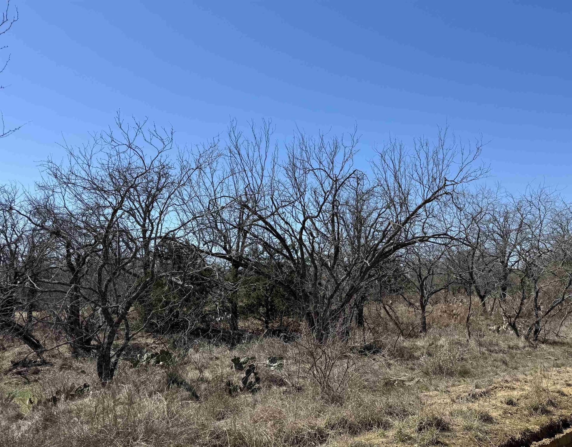 0.28 acres in Llano County