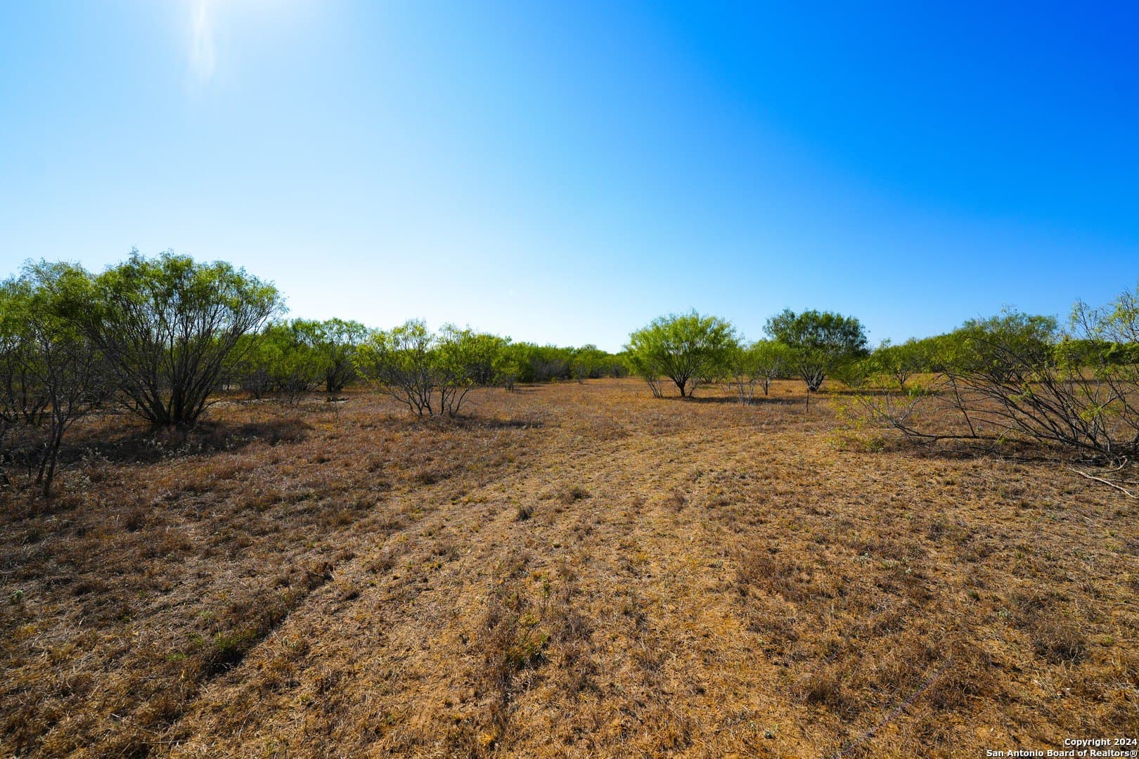 81.8 acres in Atascosa County