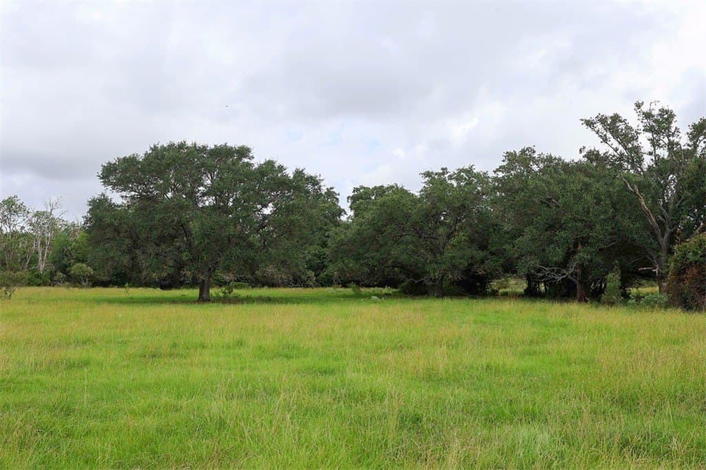 29.25 acres in Colorado County