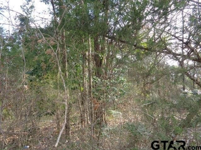 6.77 acres in Wood County