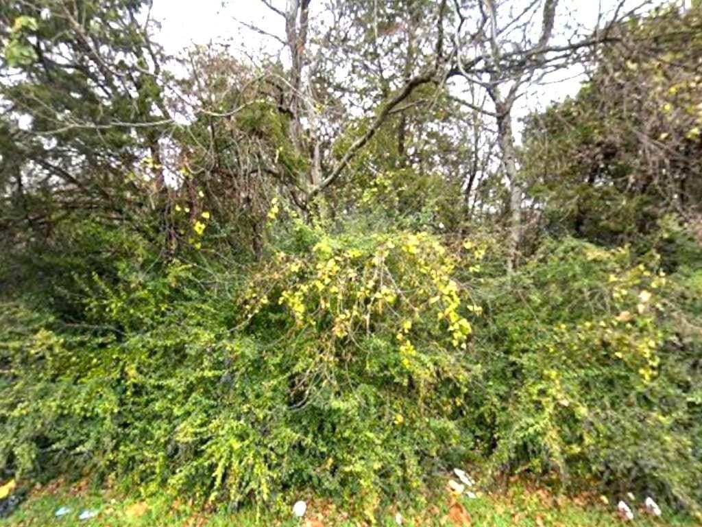 0.29 acres in Dallas County