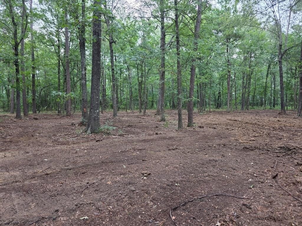5 acres in Texas County