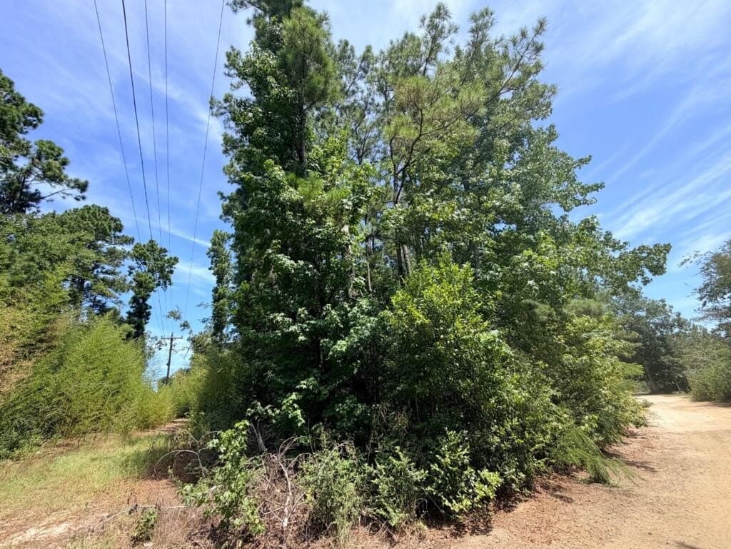 0.44 acres in Texas County