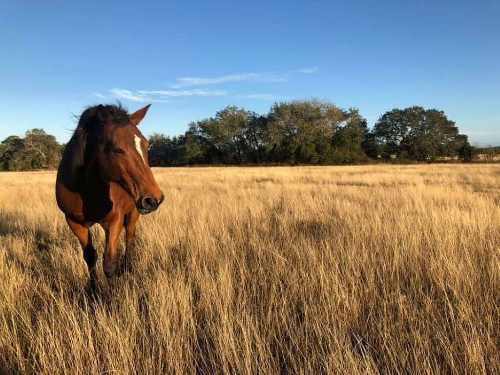 21.94 acres in Fayette County
