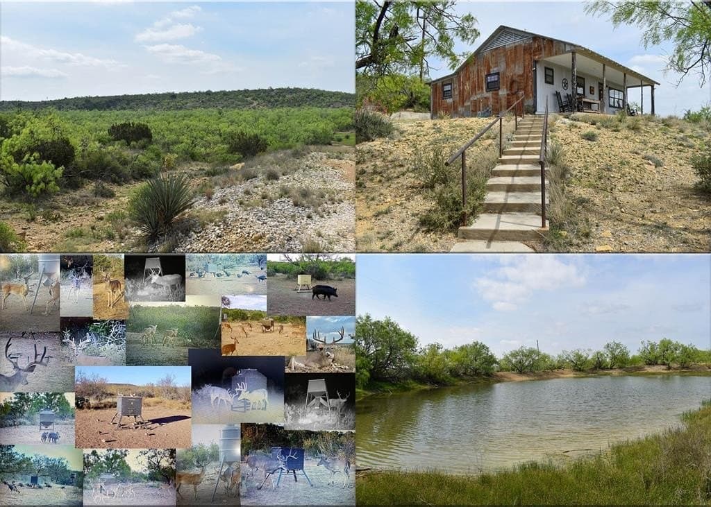 315.54 acres in Coleman County