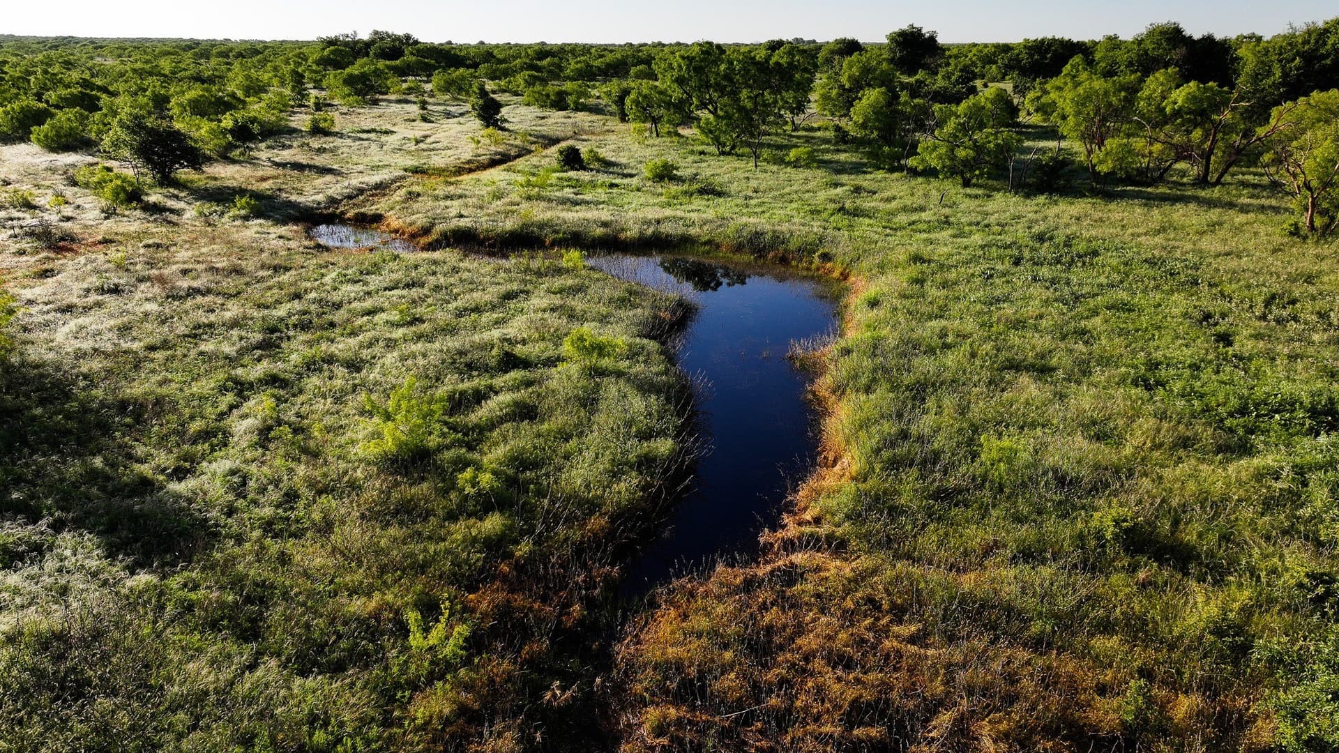 355 acres in Archer County