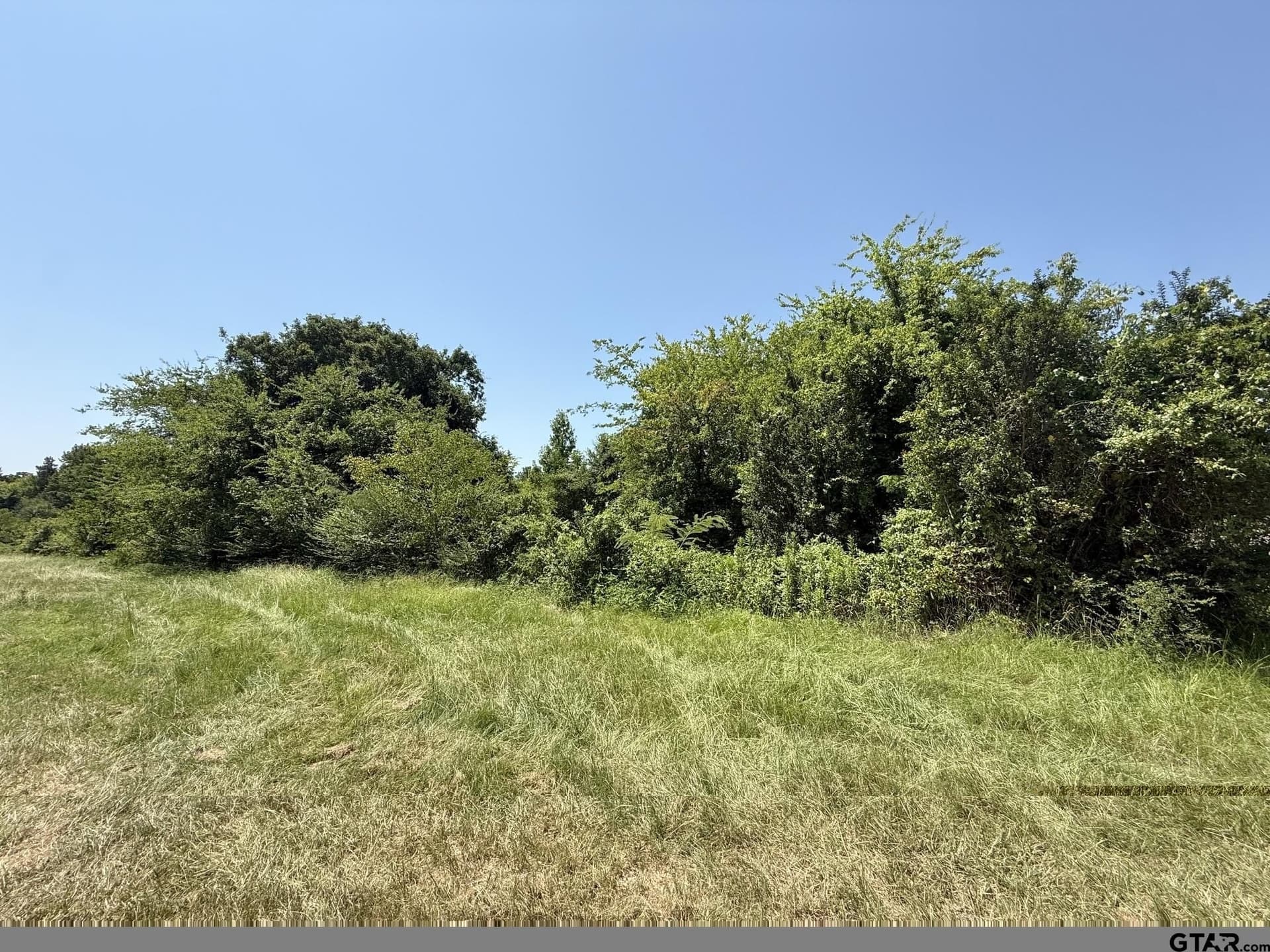 17.7 acres in Titus County