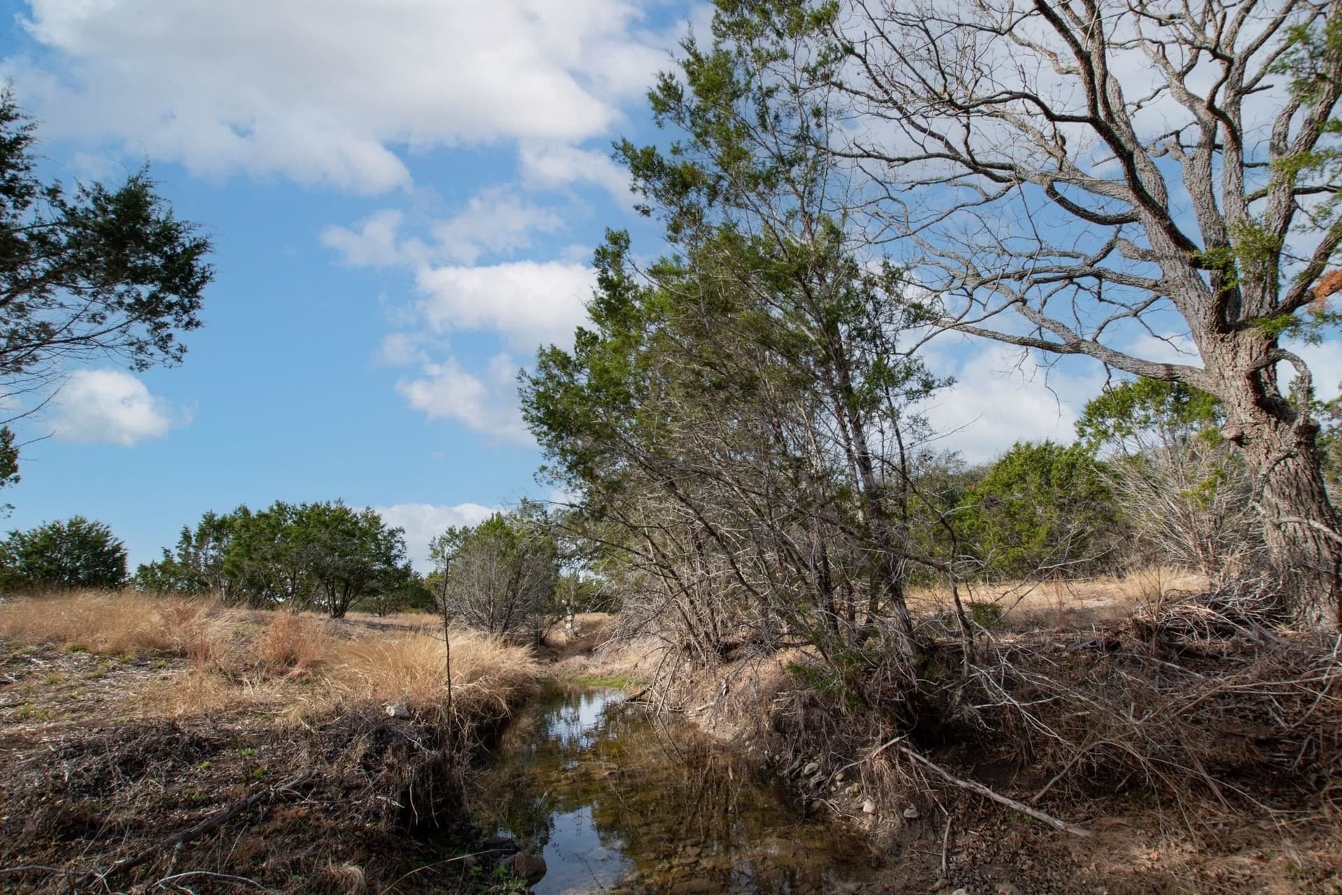 6.23 acres in Burnet County