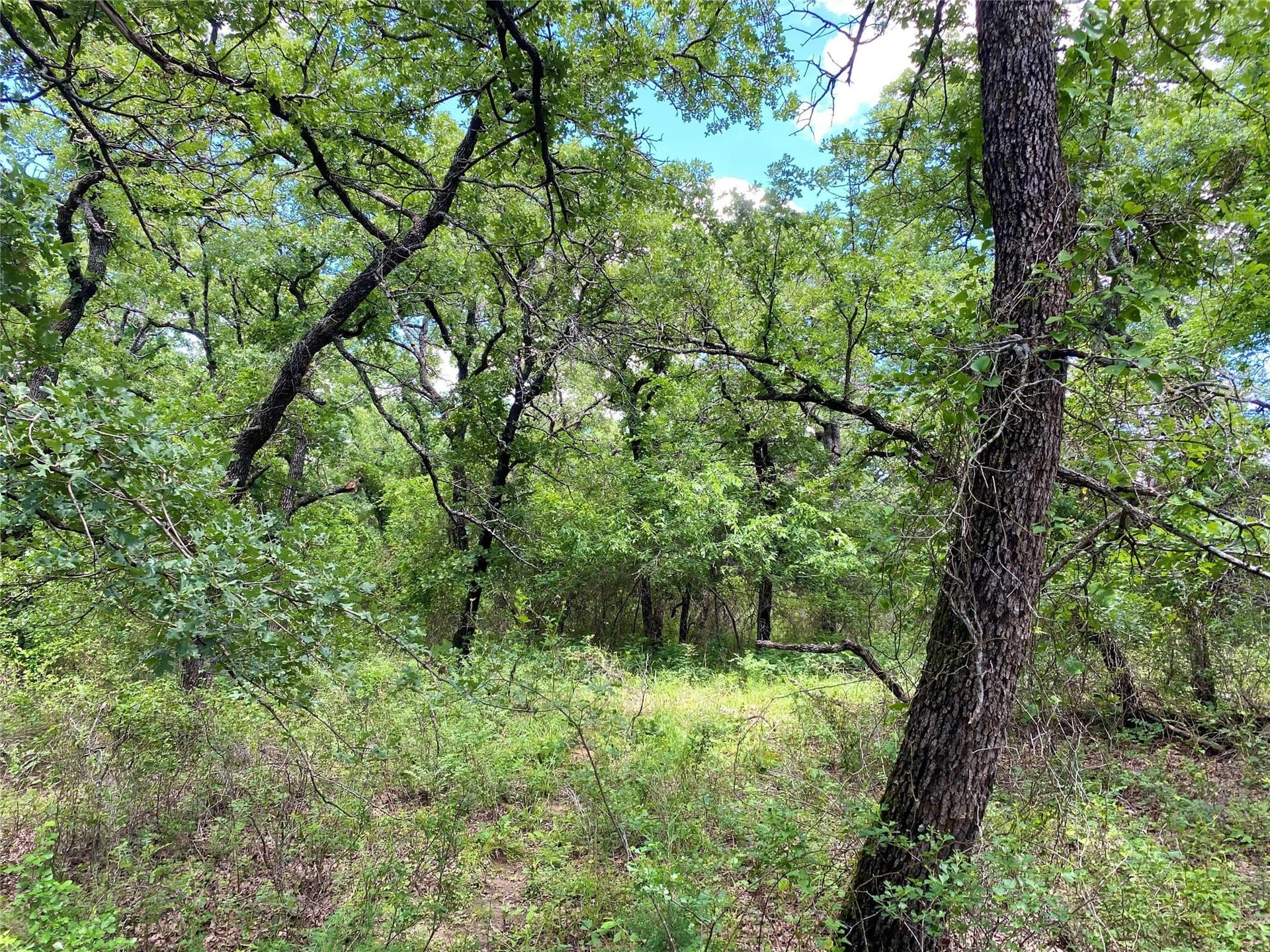 1.51 acres in Montague County