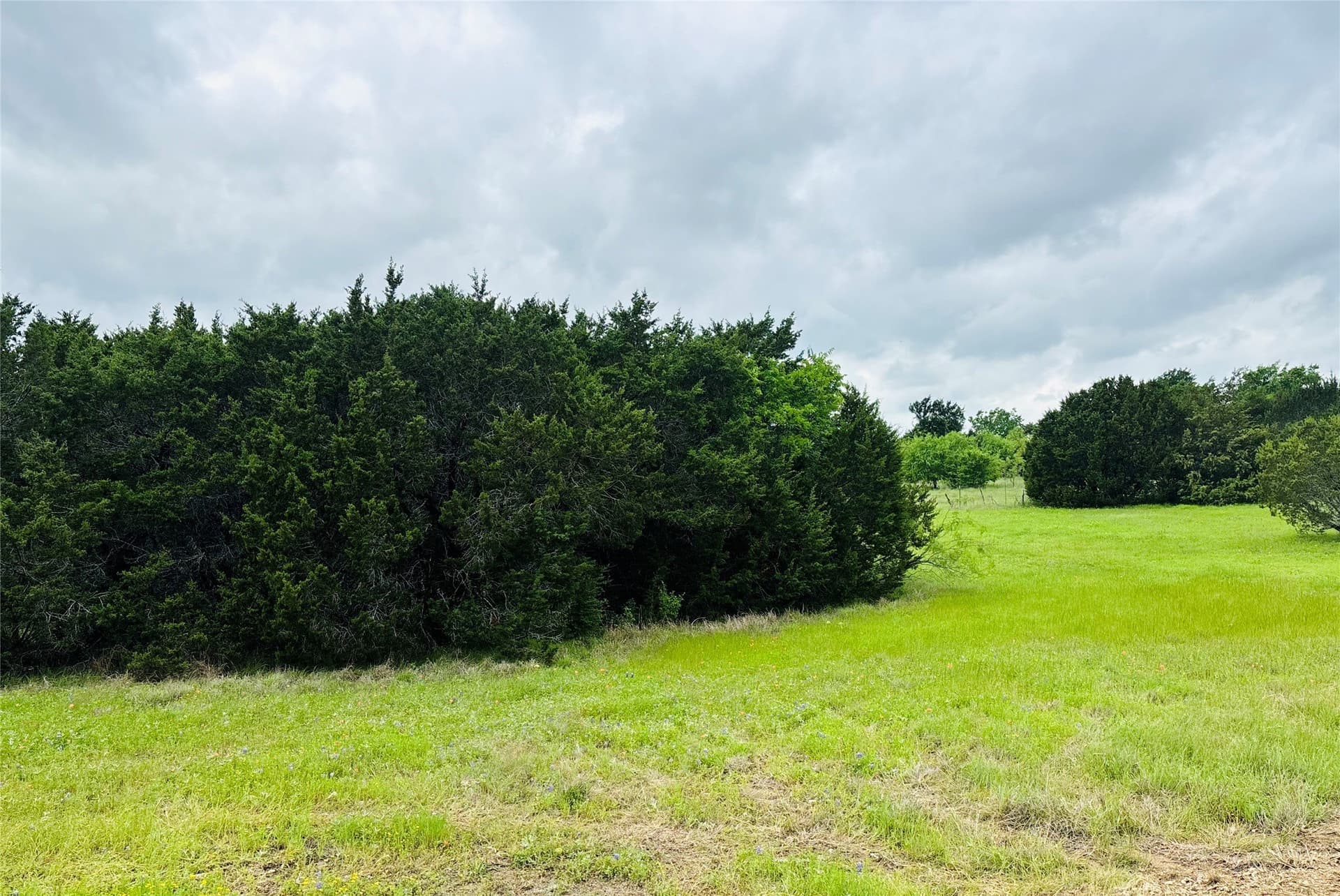 0.22 acres in Johnson County
