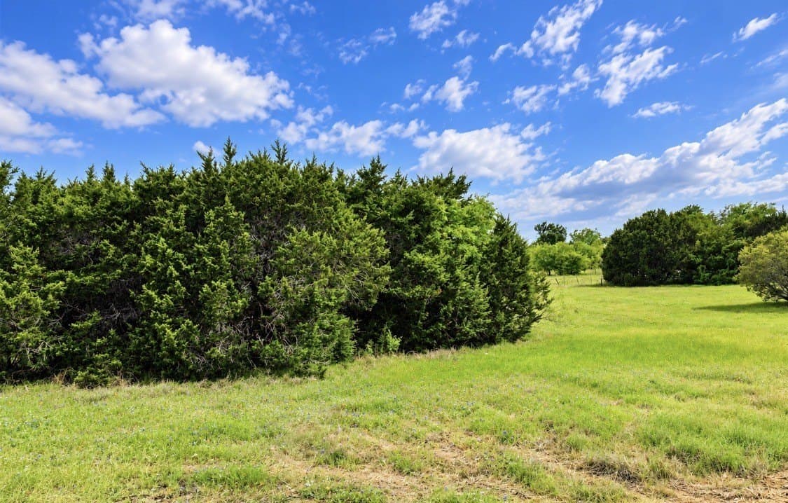8356 Bruntsfield Loop Drive
