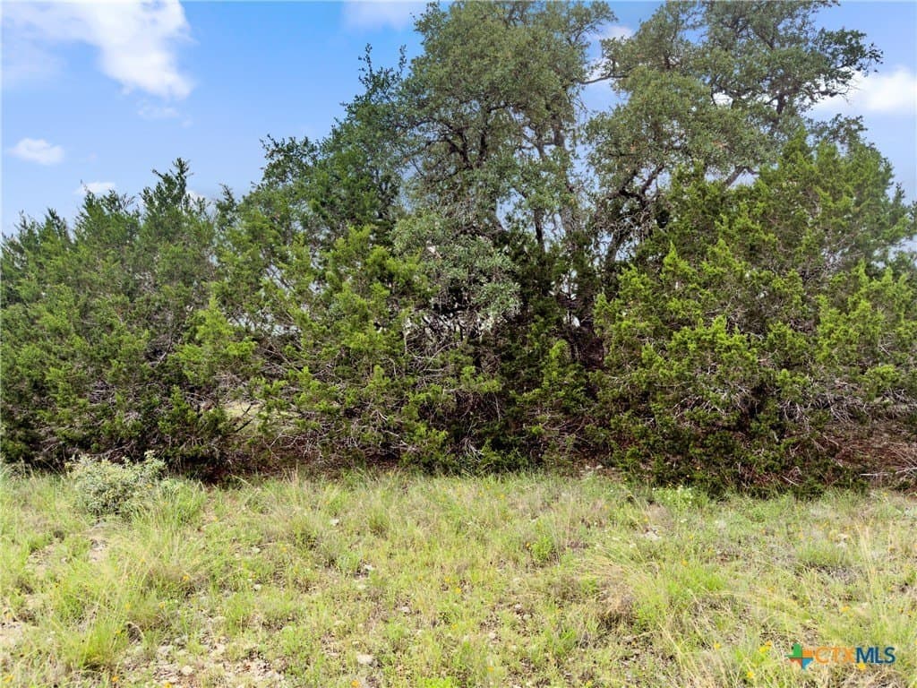3 acres in Comal County