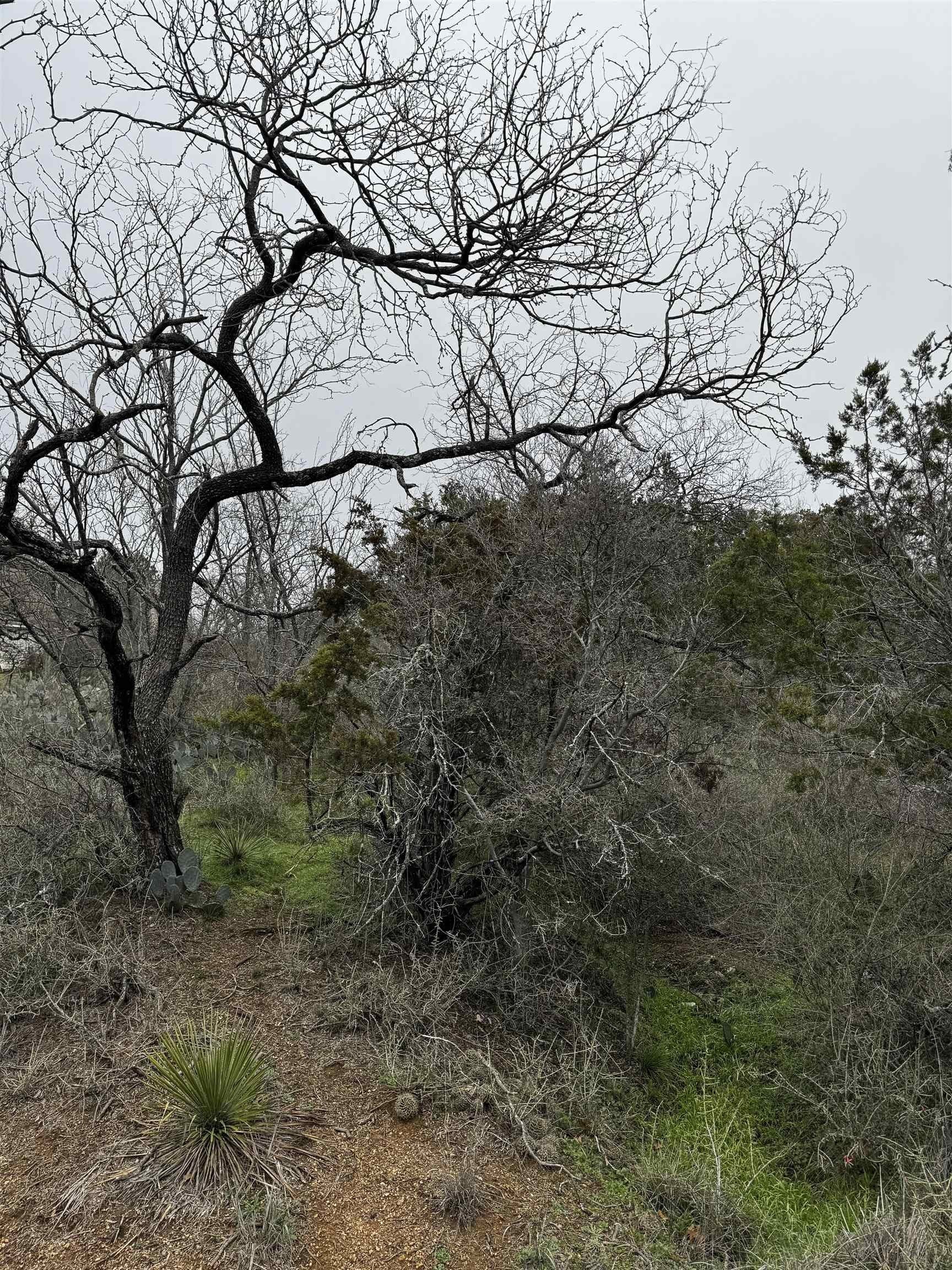0.11 acres in Burnet County