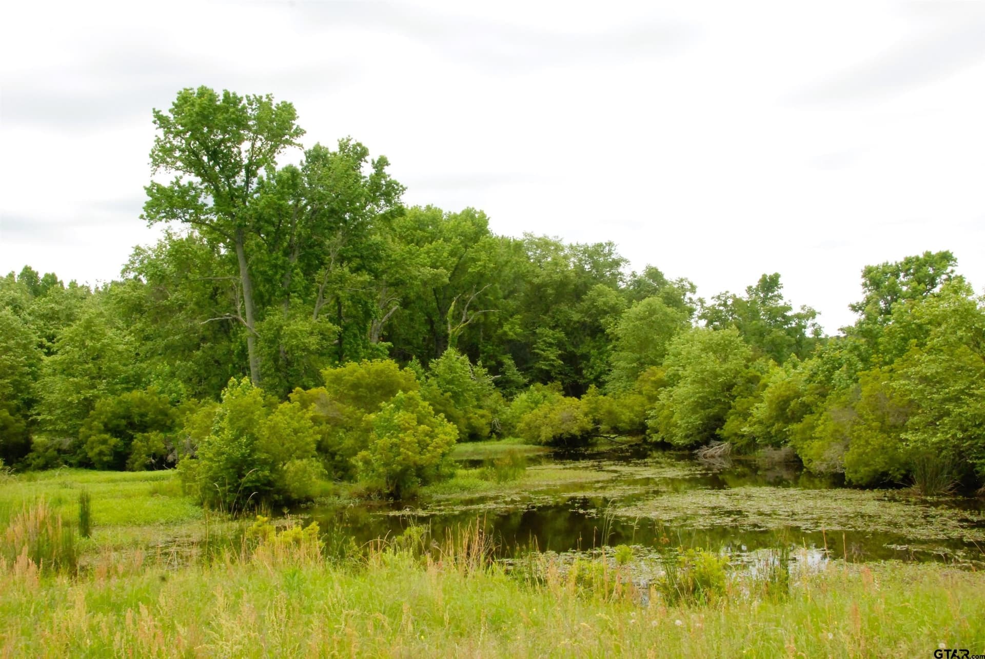35.77 acres in Smith County