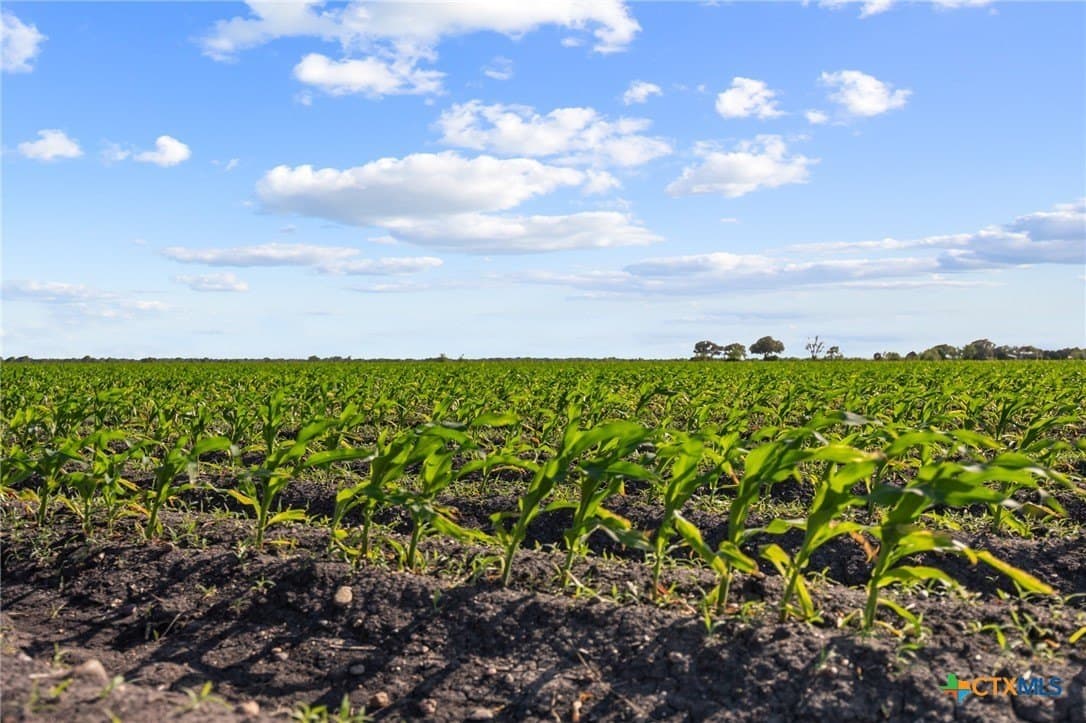 373 acres in Jackson County
