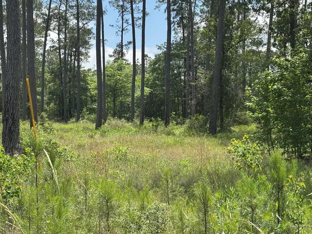 1.01 acres in Texas County