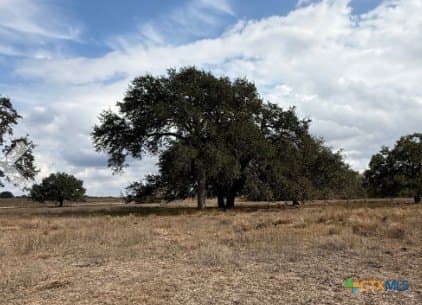 57.13 acres in Karnes County