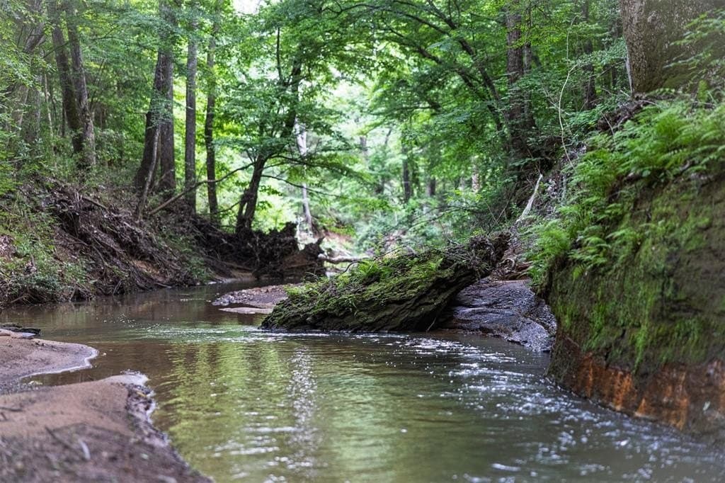 71.15 acres in Cherokee County
