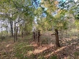 69.82 acres in Lamar County