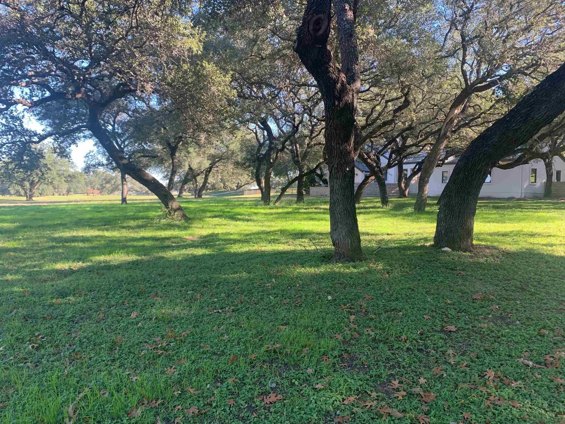 0.74 acres in Travis County