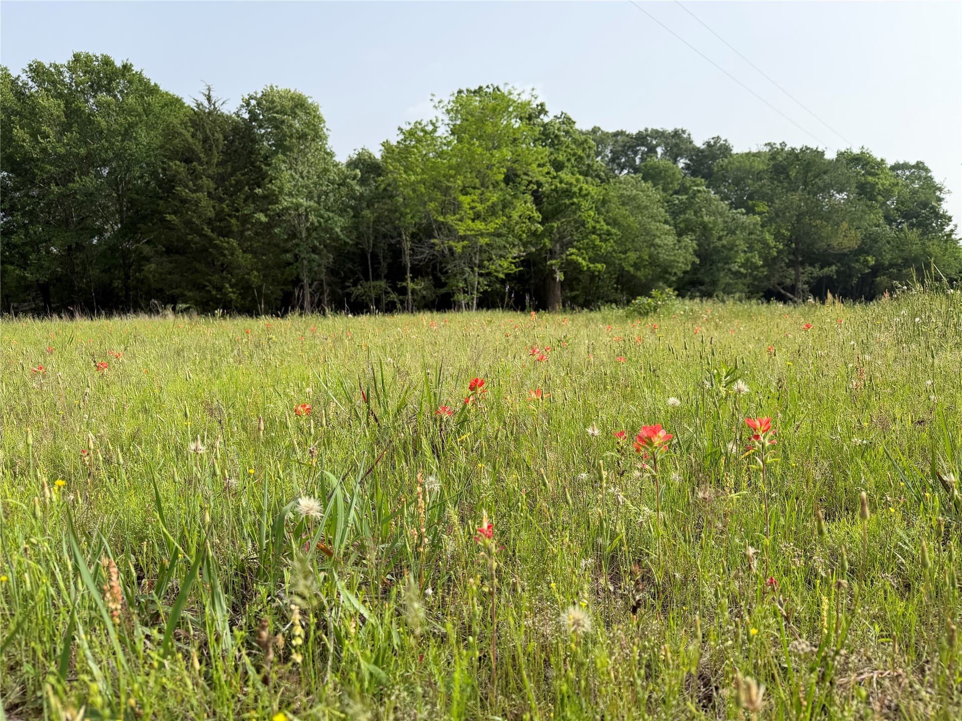 26 acres in Hopkins County