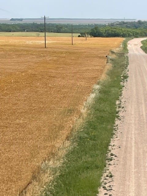 45 acres in Runnels County