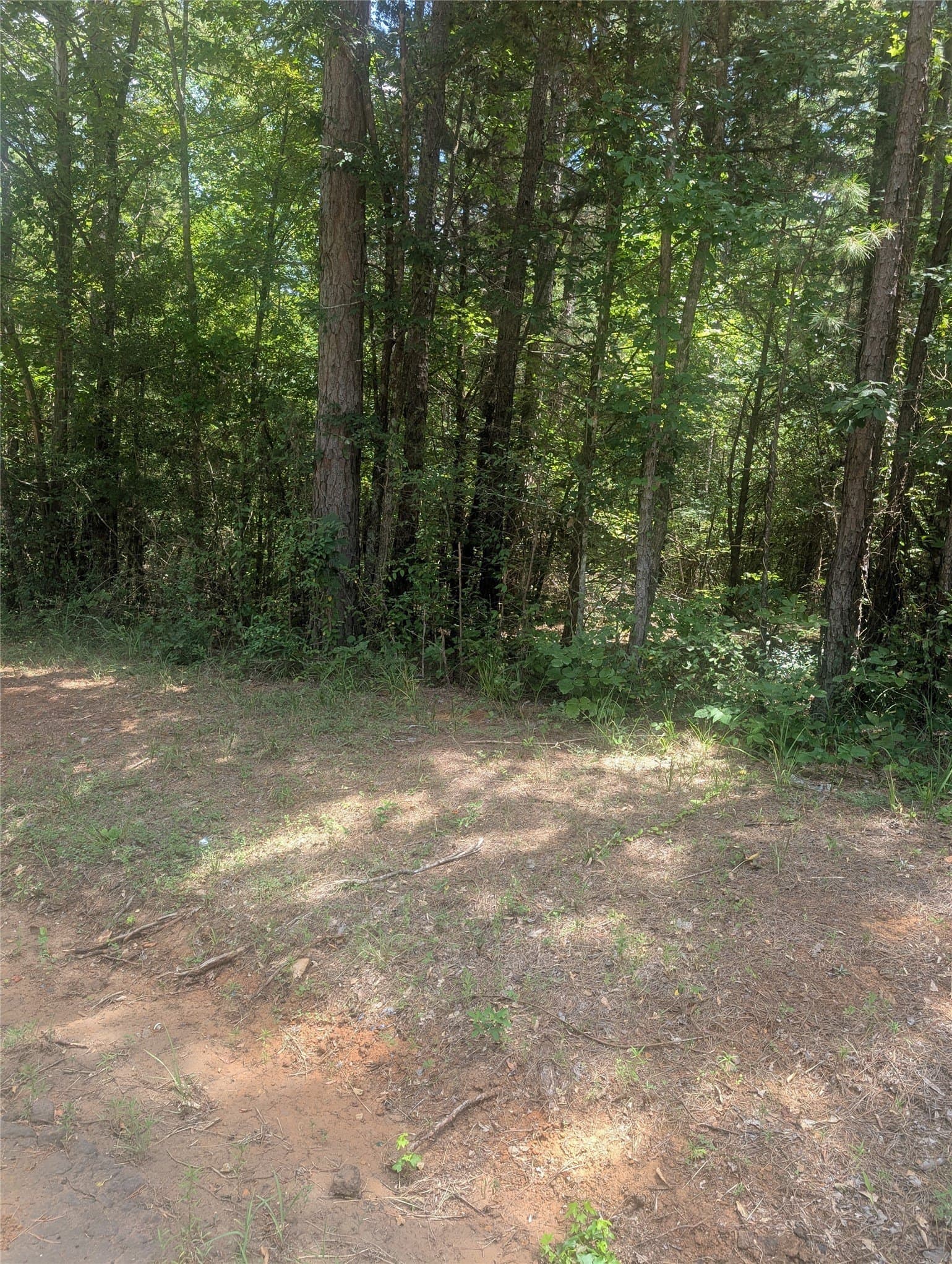 9.23 acres in Wood County