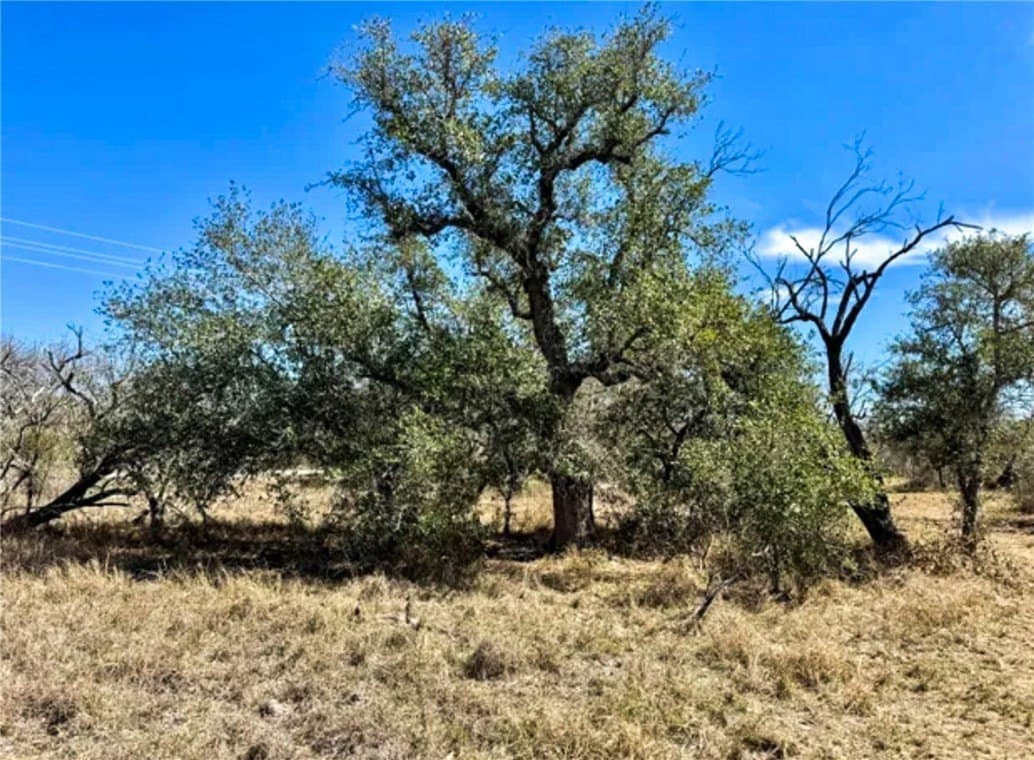 15.01 acres in Bee County