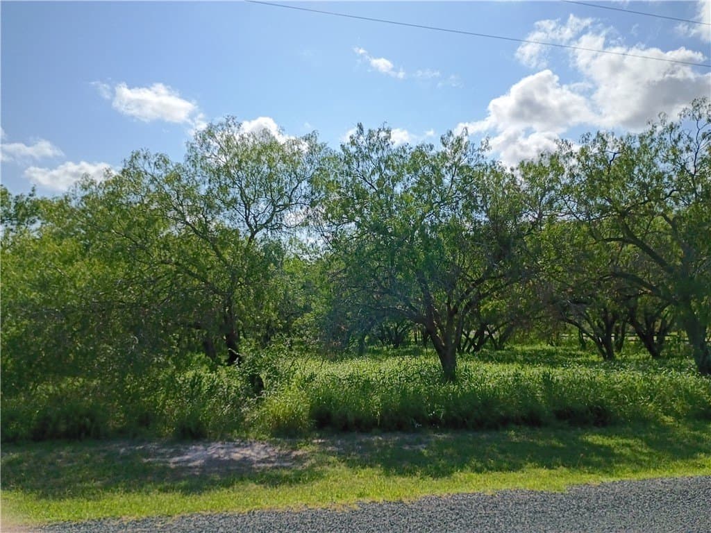 3.04 acres in Live Oak County